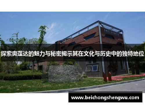 探索奥蓬达的魅力与秘密揭示其在文化与历史中的独特地位