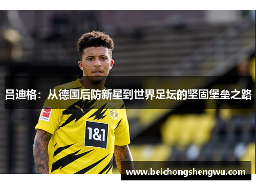 吕迪格：从德国后防新星到世界足坛的坚固堡垒之路