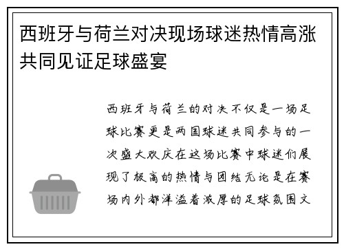 西班牙与荷兰对决现场球迷热情高涨共同见证足球盛宴
