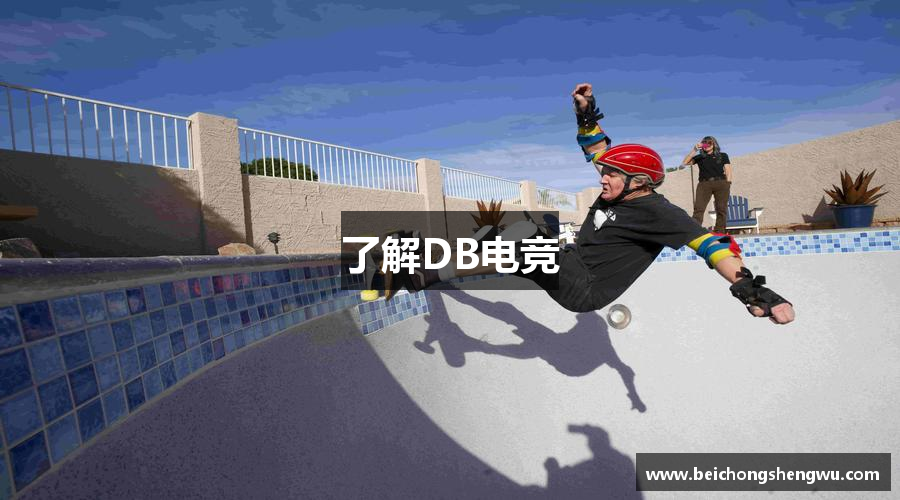 了解DB电竞